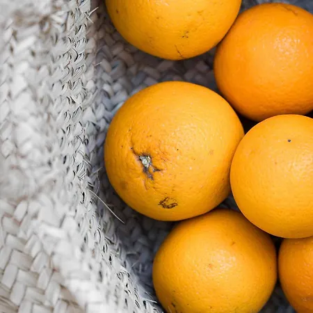 Guerrieri & 4* Campi Salentina