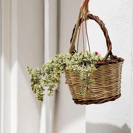 Guerrieri & Bed and breakfast 4*