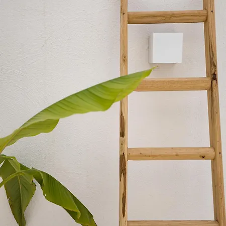 Guerrieri & Bed and breakfast 4*