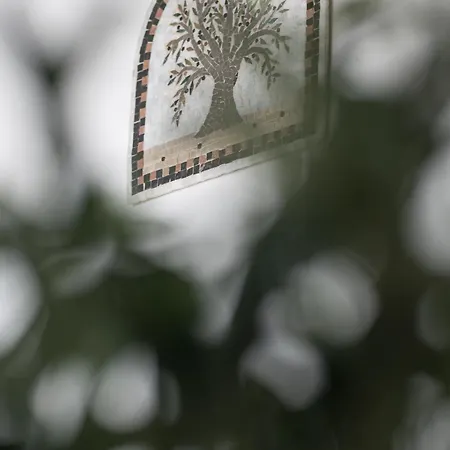 Bed and breakfast Guerrieri &